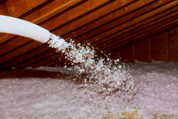 Best Residential Insulation in Elba, AL