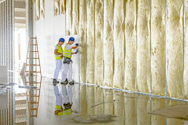 Best Insulation for Specific Applications in Elba, AL